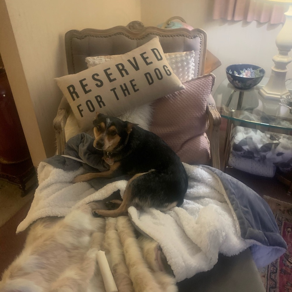 Meet your Posher, Michael